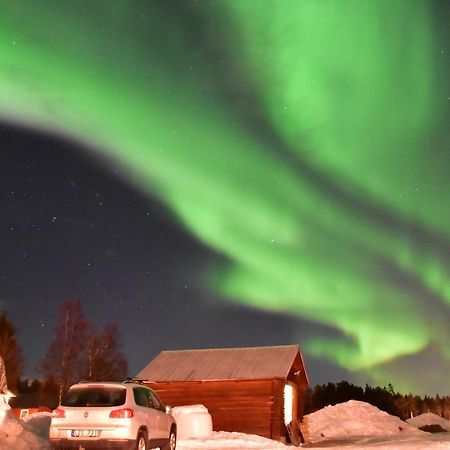 Newly Built Apartment Next Door To The Sheep Norrfjarden Bagian luar foto