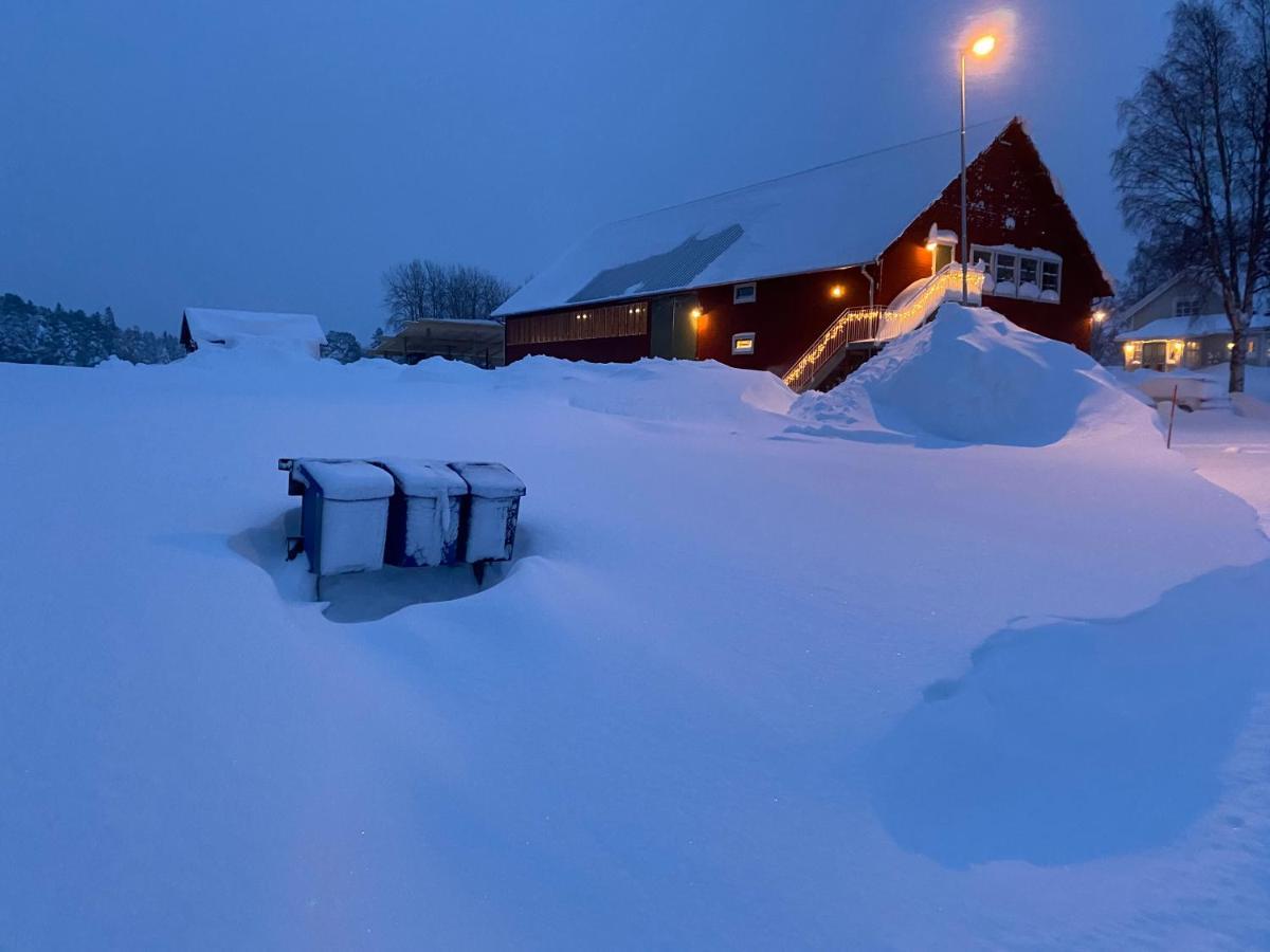 Newly Built Apartment Next Door To The Sheep Norrfjarden Bagian luar foto
