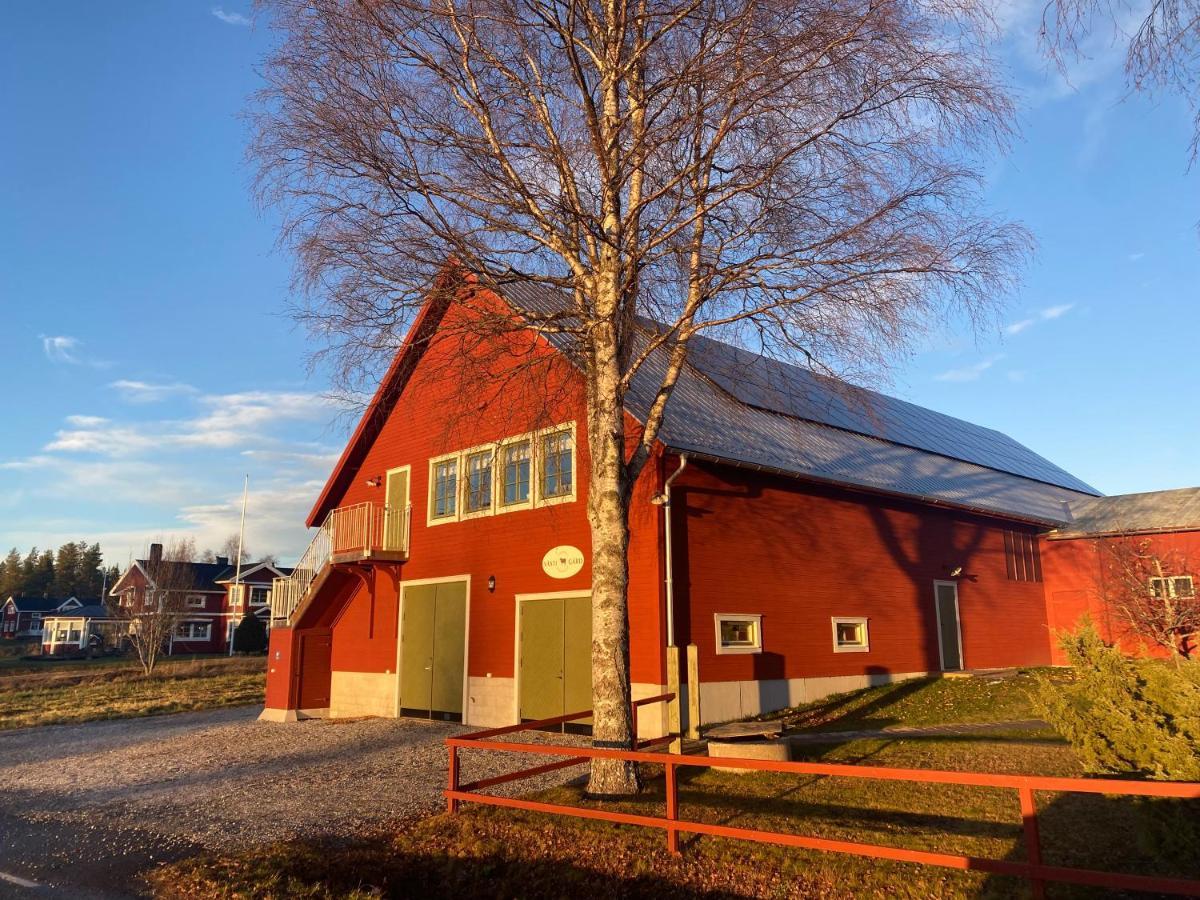 Newly Built Apartment Next Door To The Sheep Norrfjarden Bagian luar foto