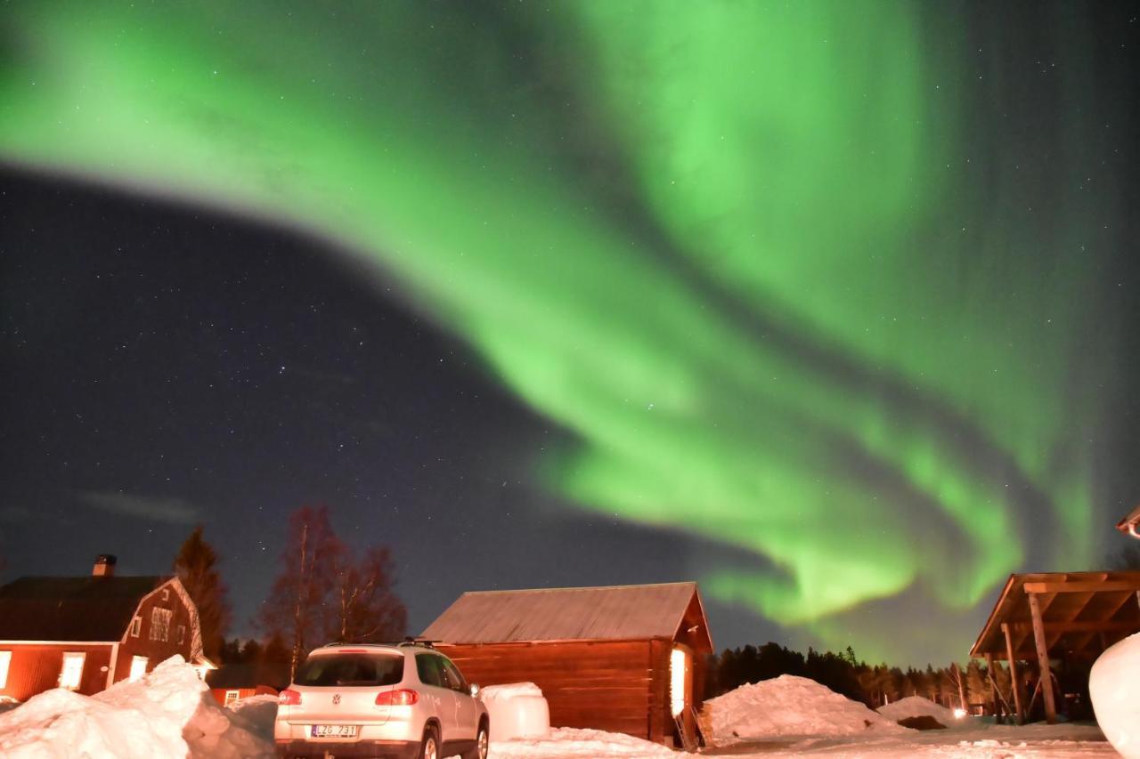 Newly Built Apartment Next Door To The Sheep Norrfjarden Bagian luar foto